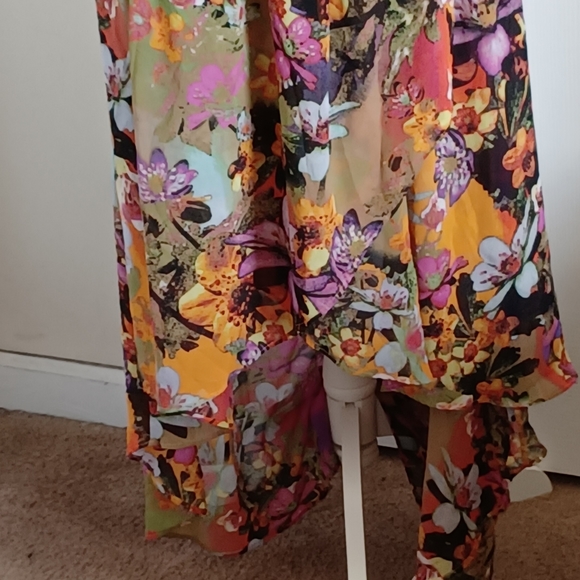 Sheer High Low Skirt - Picture 2 of 9